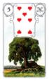 5. Baum - BEDEUTUNG: Gesundheit, das Leben, Langeweile, Monotonie, Geduld, Bodenständigkeit, Familie, Alter, Abstammung, Sicherheit, Stabilität