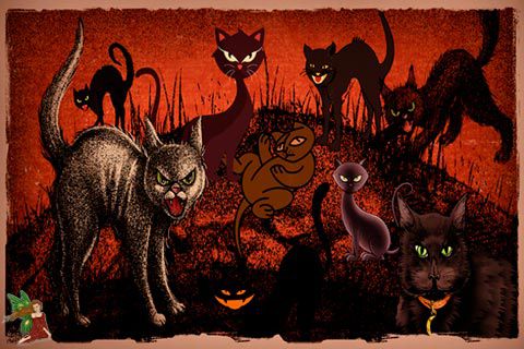 Ailuromantie - Orakel - Die Zeichen der Katzen zum Wahrsagen