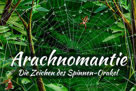 Arachnomantie - die Zeichen des Spinnen-Orakels Arachnomantie - die Zeichen des Spinnen-Orakels
